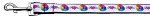 Technicolor Love Nylon Ribbon Dog Collars 1 wide 4ft Leash