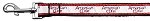 American Cutie Ribbon Dog Collars 1 wide 4ft Leash