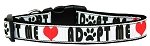 Adopt Me Nylon Cat Collar