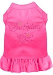 Birthday Girl Rhinestone Dress Bright Pink 4X (22)