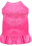 Rhinestone Naughty but in a nice way Dress Bright Pink 4X (22)