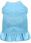 Rhinestone Rich Bitch Dress Baby Blue 4X (22)