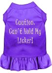 Can't Hold My Licker Screen Print Dress Purple 4X (22)