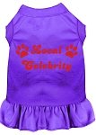 Local Celebrity Screen Print Dress Purple 4X (22)