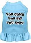 You Come, You Sit, You Stay Screen Print Dress Baby Blue 4X (22)