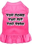 You Come, You Sit, You Stay Screen Print Dress Bright Pink 4X (22)