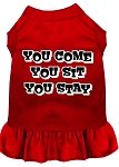 You Come, You Sit, You Stay Screen Print Dress Red 4X (22)