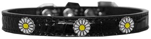 White Daisy Widget Croc Dog Collar Black Size 10