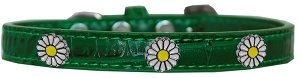 White Daisy Widget Croc Dog Collar Emerald Green Size 10