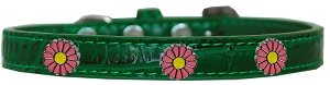 Pink Daisy Widget Croc Dog Collar Emerald Green Size 10