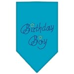 Birthday Boy Rhinestone Bandana Turquoise Large