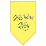 Birthday Boy Rhinestone Bandana Yellow Large