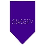 Cheeky Rhinestone Bandana Purple Large