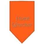 Home Wrecker Rhinestone Bandana Orange Large