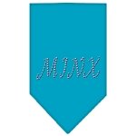 Minx Rhinestone Bandana Turquoise Large