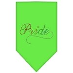Pride Rhinestone Bandana Lime Green Large