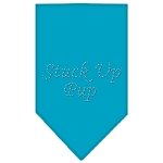 Stuck Up Pup Rhinestone Bandana Turquoise Large