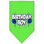 Birthday Boy Screen Print Bandana Lime Green Large