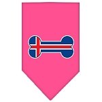 Bone Flag Iceland  Screen Print Bandana Bright Pink Large