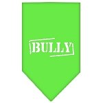 Bully Screen Print Bandana Lime Green Large