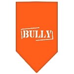 Bully Screen Print Bandana Orange Large