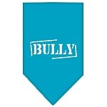 Bully Screen Print Bandana Turquoise Large