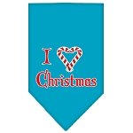 Heart Christmas Screen Print Bandana Turquoise Large
