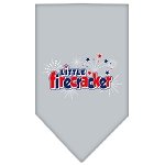 Little Firecracker Screen Print Bandana Grey Large