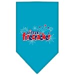 Little Firecracker Screen Print Bandana Turquoise Large