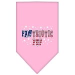 Pawtriotic Pup Screen Print Bandana Bright Pink Large