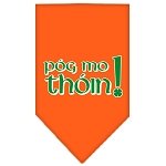 Pog Mo Thoin Screen Print Bandana Orange Large