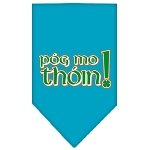 Pog Mo Thoin Screen Print Bandana Turquoise Large