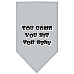 You Come, You Sit, You Stay Screen Print Bandana Grey Large