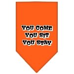 You Come, You Sit, You Stay Screen Print Bandana Orange Large