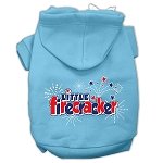 Little Firecracker Screen Print Pet Hoodies Baby Blue L (14)