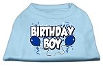 Birthday Boy Screen Print Shirts Baby Blue Lg (14)